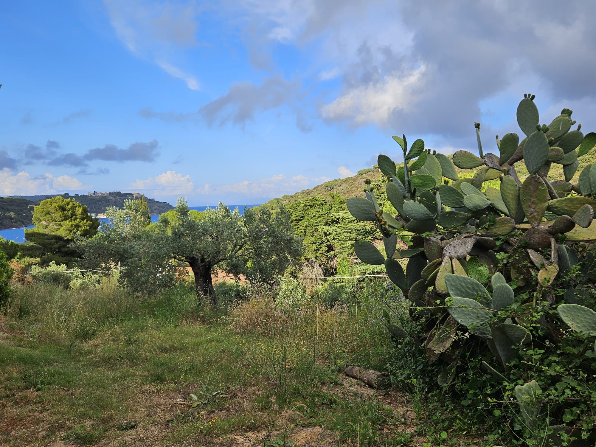 A Casa di Titti